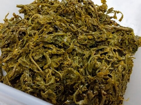 山椒を摘んで作ってみました!山椒の葉佃煮